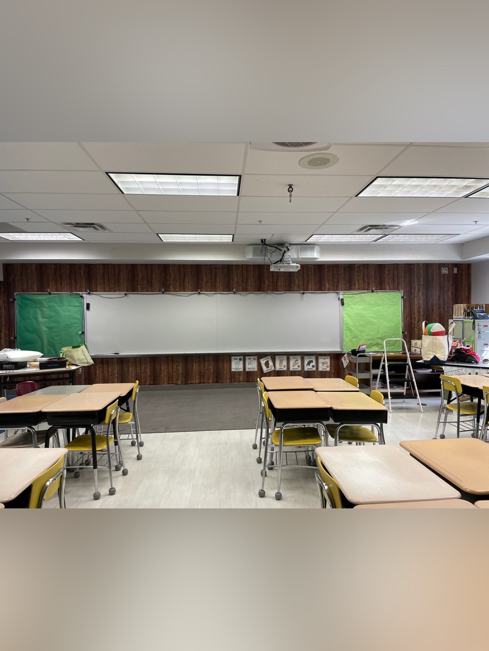 Better than paper brown shiplap. Amount is what is pictured on classroom wall.